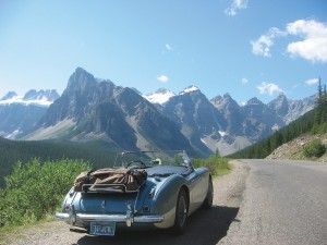 nelson_2006-0079