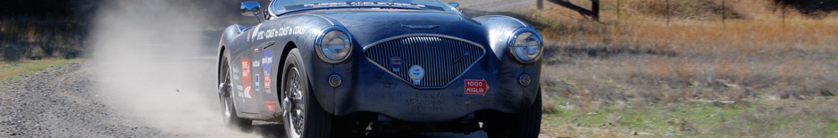 DSC_0046web