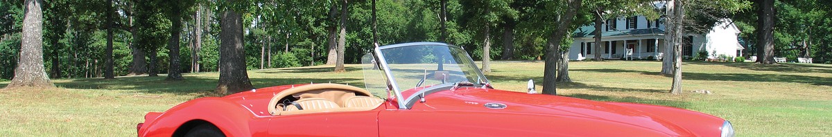 IMG_5433web
