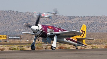 rarebeartaxi