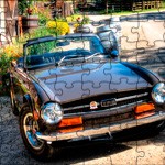 tr6_crossword