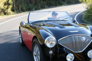 IMG_8951