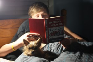 Classic car books and old magazines can have a second (or third!) life in the hands of today's youth.