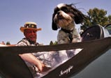 Rick Malsed’s 10,000-mile MG trip covered the same mileage as if he’d driven from Seattle to South Africa. Co-piloting throughout was Rick’s little Shih Tzu Maggie, who shares a name with the MG-TD.