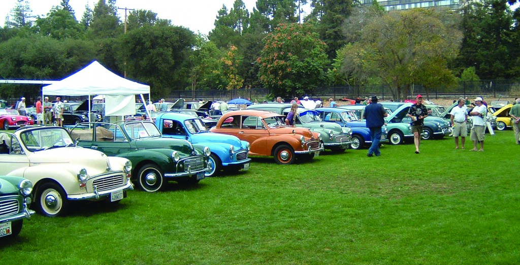 Show Field1